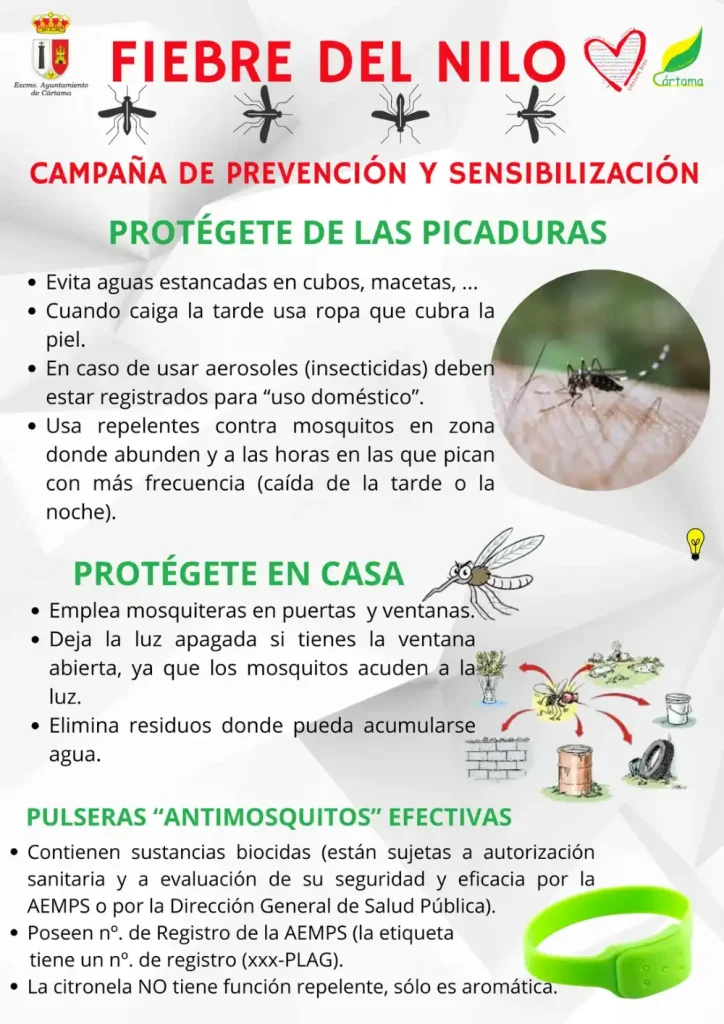 El Ayuntamiento intensificará los trabajos para controlar la presencia del mosquito que transmite el Virus del Nilo Occidental